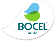 Bocel